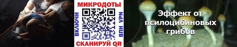 Псилоцибиновые грибы Magic Shrooms  hydra маркетплейс  Кондрово 